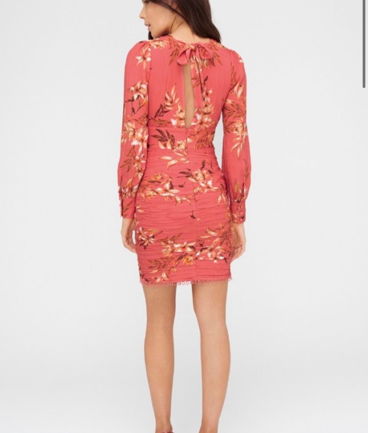 Sheike Jasmine Dress Size 10 - Image 3