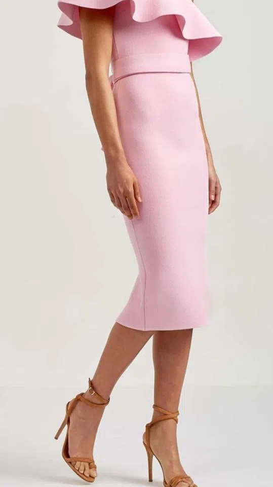 Scanlan Theodore Ruffle Dress Pink Size 8 - Image 2