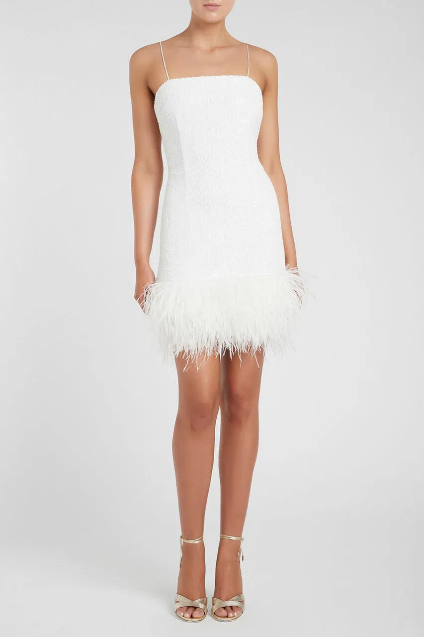 Rebecca Vallance Sylvie Mini Dress White Size 8 - Image 1