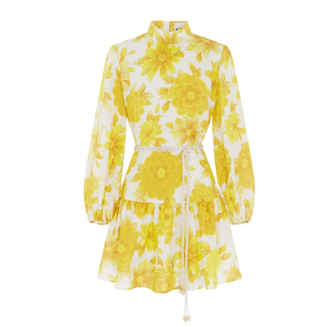 ALEMAIS SONNY MINI DRESS - Image 3