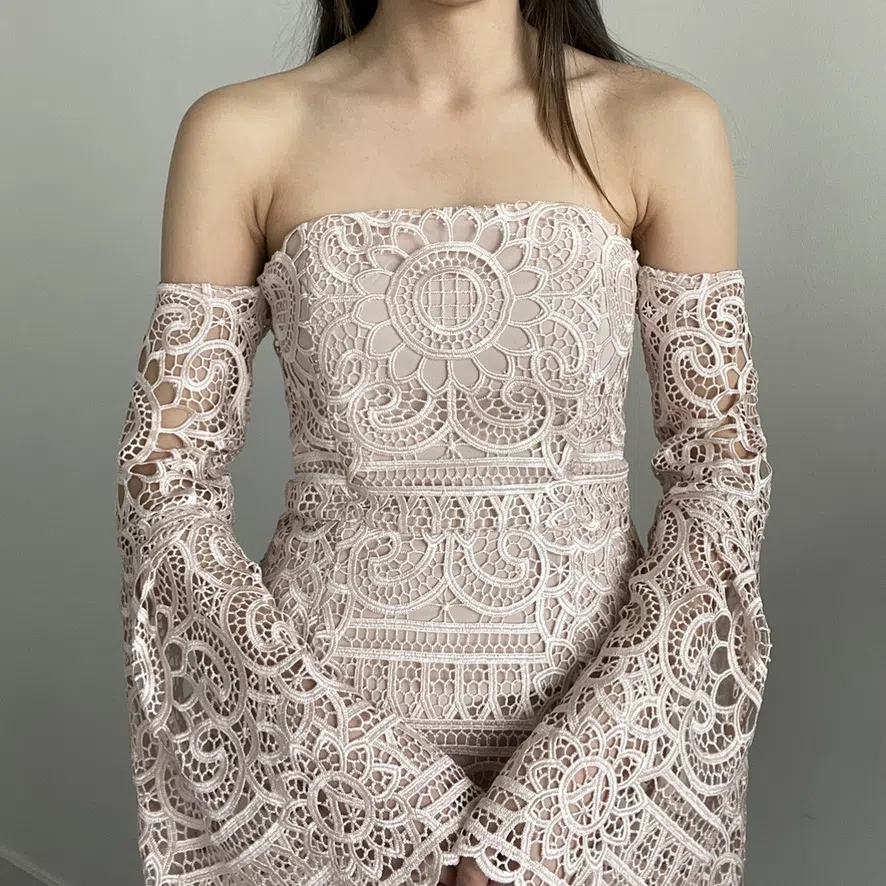 Nicholas Eva Geo Floral Lace Strapless Dress Antique Pink Size 0 / Au 6 - Image 3